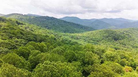 27 Cullowhee Forest Rd, Cullowhee, NC 28723 photo 19