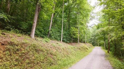 27 Cullowhee Forest Rd, Cullowhee, NC 28723 photo 22