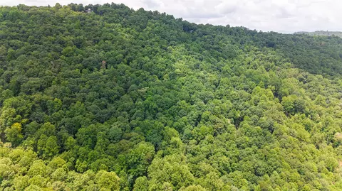 27 Cullowhee Forest Rd, Cullowhee, NC 28723 photo 20
