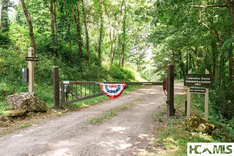 27 Cullowhee Forest Rd, Cullowhee, NC 28723 photo 3