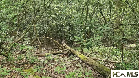 0 Grandaddy Still Rd, Scaly Mountain, NC 28775 photo 7