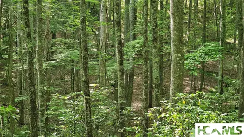 0 Grandaddy Still Rd, Scaly Mountain, NC 28775 photo 3