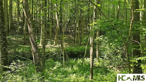 0 Grandaddy Still Rd, Scaly Mountain, NC 28775 photo 5