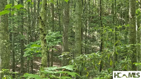 0 Grandaddy Still Rd, Scaly Mountain, NC 28775 photo 4