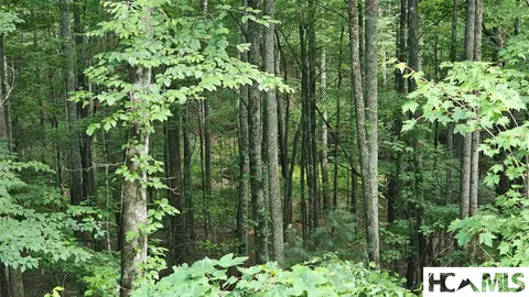 0 Grandaddy Still Rd, Scaly Mountain, NC 28775 photo 6