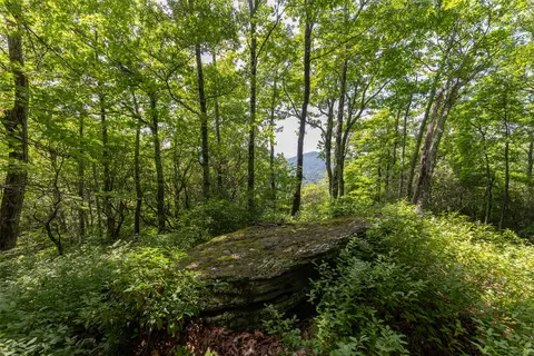 14 W Whitetail Dr, Sapphire, NC 28774 photo 11