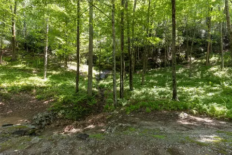 14 W Whitetail Dr, Sapphire, NC 28774 photo 18