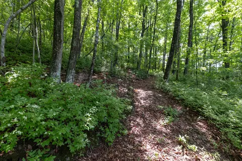 14 W Whitetail Dr, Sapphire, NC 28774 photo 15