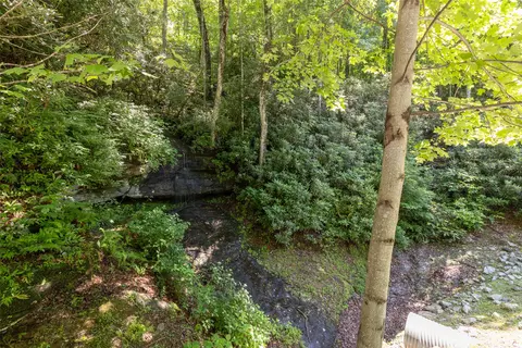 14 W Whitetail Dr, Sapphire, NC 28774 photo 21