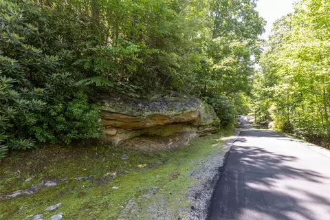 14 W Whitetail Dr, Sapphire, NC 28774 photo 22