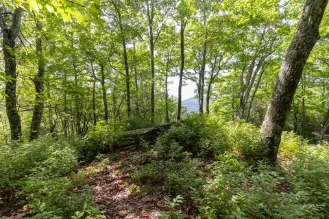 14 W Whitetail Dr, Sapphire, NC 28774 photo 9