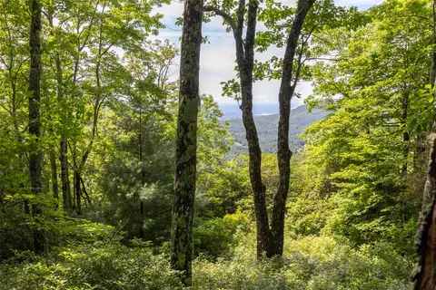 14 W Whitetail Dr, Sapphire, NC 28774 photo 7