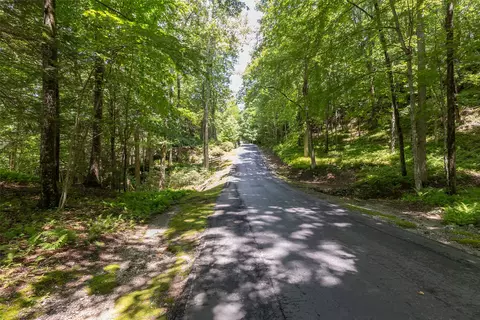14 W Whitetail Dr, Sapphire, NC 28774 photo 16