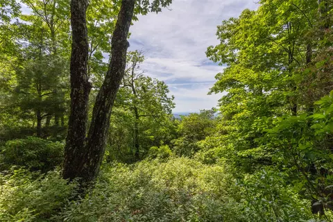 14 W Whitetail Dr, Sapphire, NC 28774 photo 10