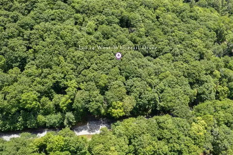 14 W Whitetail Dr, Sapphire, NC 28774 photo 31