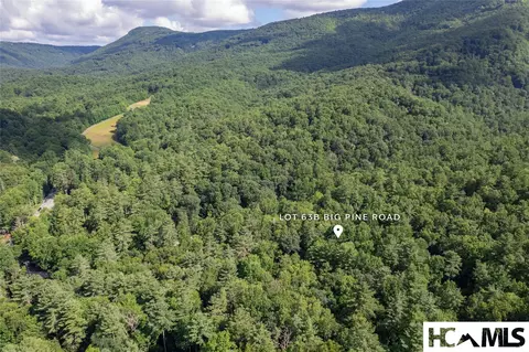 63 Big Pine Rd # B, Sapphire, NC 28774 photo 23