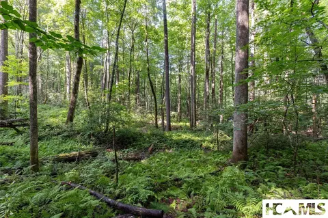 63 Big Pine Rd # B, Sapphire, NC 28774 photo 13
