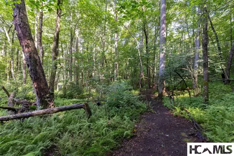 63 Big Pine Rd # B, Sapphire, NC 28774 photo 12