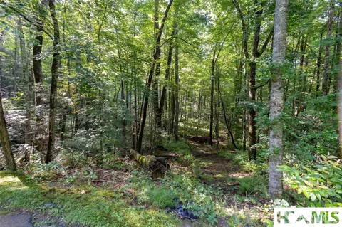 63 Big Pine Rd # B, Sapphire, NC 28774 photo 8