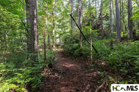 63 Big Pine Rd # B, Sapphire, NC 28774 photo 15