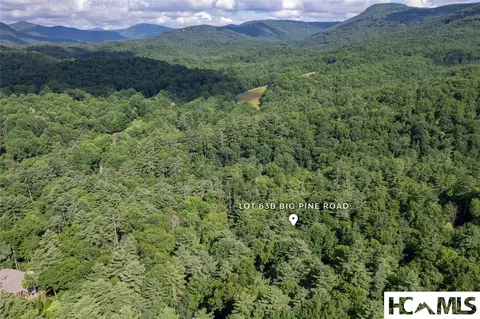63 Big Pine Rd # B, Sapphire, NC 28774 photo 22