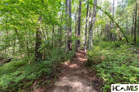 63 Big Pine Rd # B, Sapphire, NC 28774 photo 14