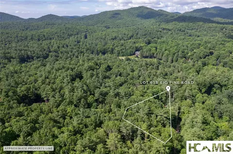 63 Big Pine Rd # B, Sapphire, NC 28774 photo 20