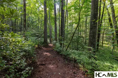 63 Big Pine Rd # B, Sapphire, NC 28774 photo 10