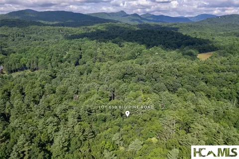 63 Big Pine Rd # B, Sapphire, NC 28774 photo 21