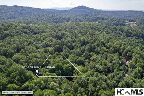 63 Big Pine Rd # B, Sapphire, NC 28774 photo 17