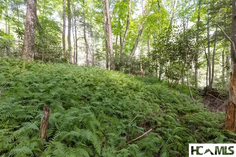29 Rock Bridge Ct # C, Sapphire, NC 28774 photo 10