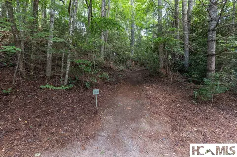 29 Rock Bridge Ct # C, Sapphire, NC 28774 photo 6