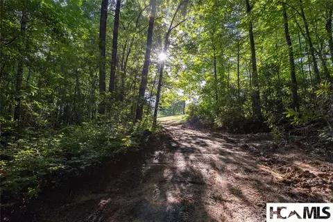 46 Dr Winding Creek Rd, Sapphire, NC 28774 photo 8