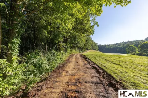 46 Dr Winding Creek Rd, Sapphire, NC 28774 photo 10