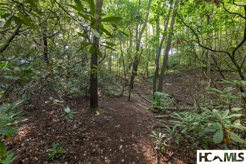 46 Dr Winding Creek Rd, Sapphire, NC 28774 photo 15