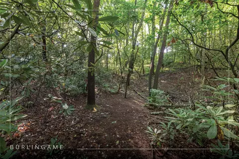 46 Dr Winding Creek Rd, Sapphire, NC 28774 photo 3