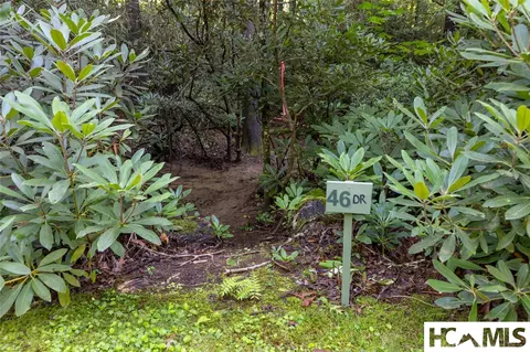 46 Dr Winding Creek Rd, Sapphire, NC 28774 photo 6