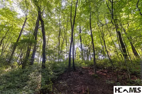 46 Dr Winding Creek Rd, Sapphire, NC 28774 photo 17