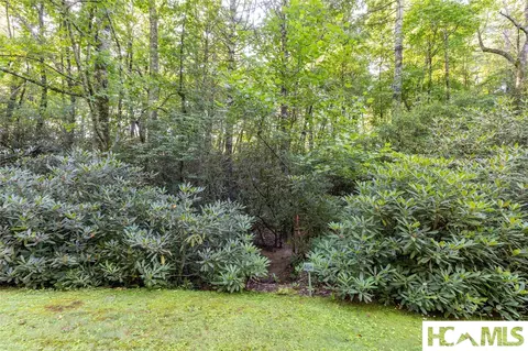 46 Dr Winding Creek Rd, Sapphire, NC 28774 photo 7