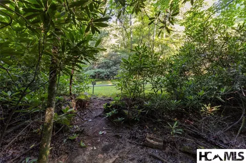 46 Dr Winding Creek Rd, Sapphire, NC 28774 photo 14