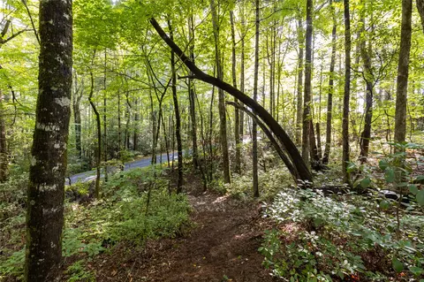 11 Er Beaver Dam Rd, Sapphire, NC 28774 photo 9