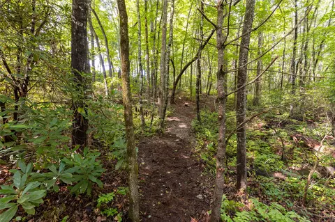 11 Er Beaver Dam Rd, Sapphire, NC 28774 photo 6