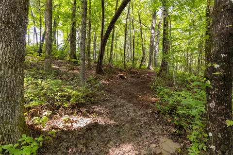 11 Er Beaver Dam Rd, Sapphire, NC 28774 photo 8