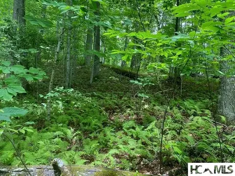 lot25 Rainbow Trout, Tuckasegee, NC 28783