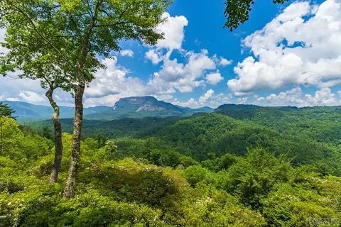 45 Big Terrapin Trce, Cashiers, NC 28717 photo 8
