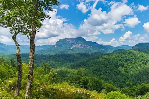 45 Big Terrapin Trce, Cashiers, NC 28717 photo 37