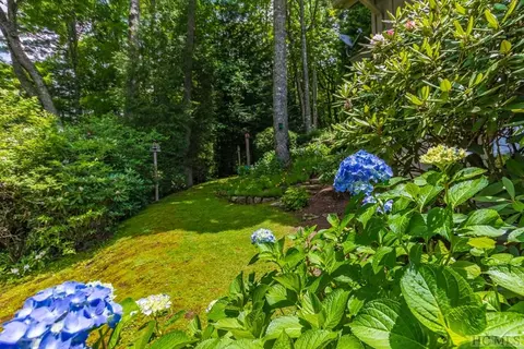 45 Big Terrapin Trce, Cashiers, NC 28717 photo 49