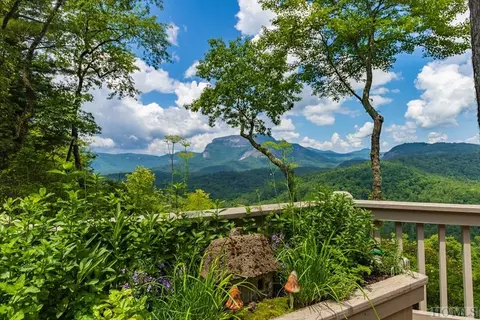 45 Big Terrapin Trce, Cashiers, NC 28717 photo 5
