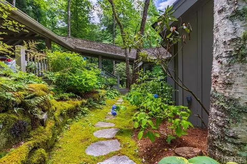 45 Big Terrapin Trce, Cashiers, NC 28717 photo 43