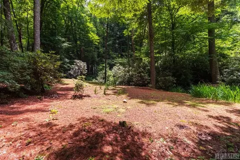 45 Big Terrapin Trce, Cashiers, NC 28717 photo 48
